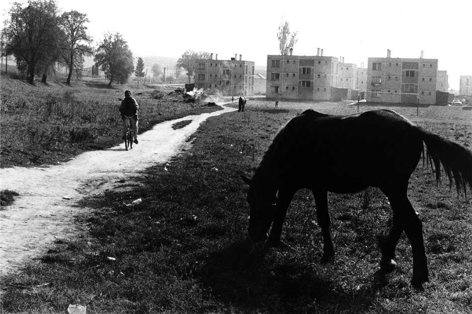 Spiš, 2003