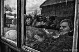 Gabriela Teplická: EDITING WORKSHOP. Daily Life, winner Slovak Press Photo 2018